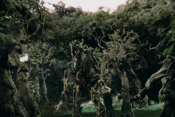 Resultado de imagen de el bosque de fangorn